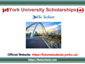 York University Scholarships