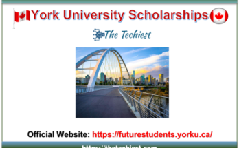 York University Scholarships