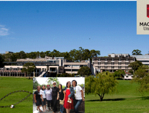 Macquarie University Scholarship