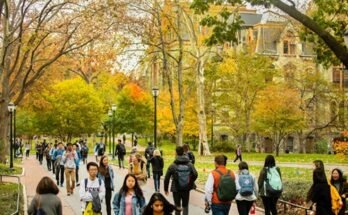 Study in Denmark - Scholarships in Denmark For International Students 2024_2025